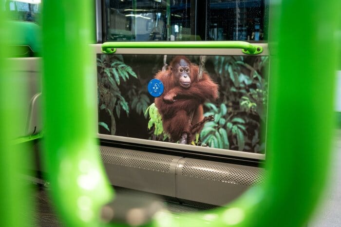 Themed Citaro Interior