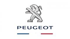 Peugeot 2008 & 208, The Best Selling Cars In French Market